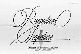Risemotion Signature: Creative Font Designs